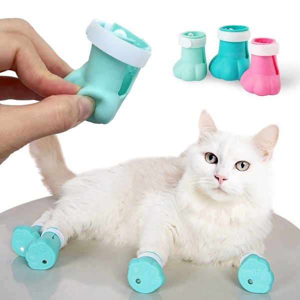 고양이 목욕 신발